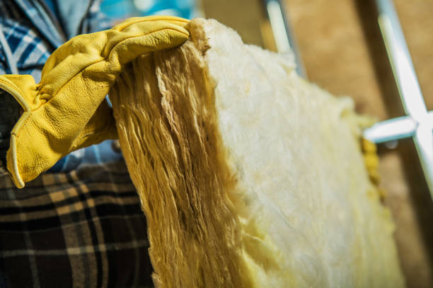 Best Commercial Insulation in Blountville, TN