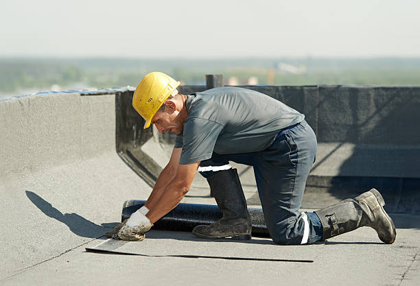 Best Insulation Installation Services in Blountville, TN